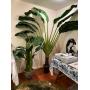 OWINGS ESTATE SALE