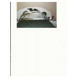 California Regency Style Headboard