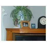 Clock & Fern