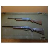 Daisy Model 880 & Crossman 760 Pumpmaster BB & Pellet Guns