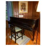 Beautiful Steinway Grand piano