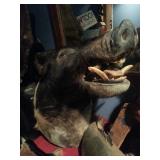 FABULOUS NATICK ESTATE SALE SAT. APRIL 11th 9AM-2PM ANTIQUES, OLD OIL PAINTINGS, TAXIDERMY, HUNTING!