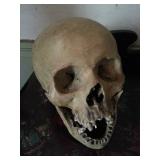 INCREDIBLE GLOUCESTER ESTATE SALE SEPT 26TH 9AM-2PM ANTIQUES MILITARY NAUTICAL FILLED WITH TREASURES