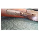 iver Johnson shot gun