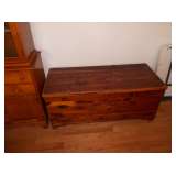 large cedar trunk