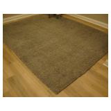 Large area rug