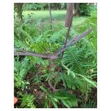 Wrought iron yard art