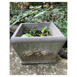 Concrete planter