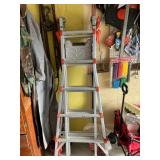 Little Gianr Extreme ladder model 22