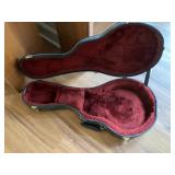 Mandolin hard case