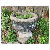 Concrete planter