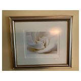 Signed framed print