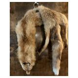 Genuine fox fur stole