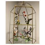 Humming bird collection