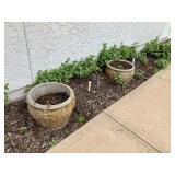 Concrete planters