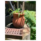 Large terra cotta garden pot