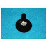 SENIOR SORTERS GRAND BRENTWOOD ESTATE & COMMUNITY GARAGE SALE