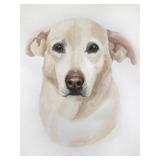 Big Fluffy Dog Rescue Charity Auction