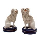 Staffordshire poodles