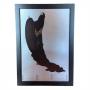 Shaker Heights Art Advertising and Collectibles Auction
