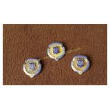 10k gold pins