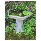 Bird Bath Bird Bath