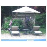 Martha Stewart Beautiful Outdoor Wicker Suite Members Mark Agio Patio Seati... 