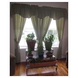 Stunning Window Treatments Plants and more 