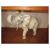 Elephant Collections 