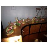 Bird Colections Bird Colections