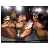 Bird Collections Bird Collections