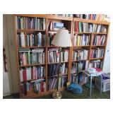 Tons of Books/Bookcases  