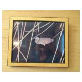 Lithographs & Prints 