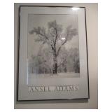 Ansel Adams Collections 
