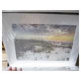 Tons of Photographs By Listed Local Photographer 