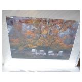 Tons of Photographs By Listed Local Photographer 