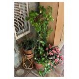 Outdoor Plants and Pots