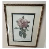 "The Rose And Rosa Damascena" The Bombay Company