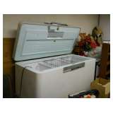 Riverside commercial freezer