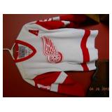 Youth Red Wing Jersey