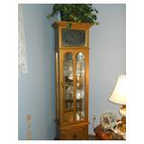 Curio Cabinet