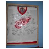 Framed Red Wing Jersey