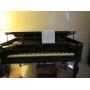 Bridle Trails Estate Sales
