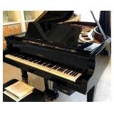 PETROF Grand Player Piano