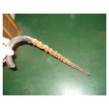 unusual cane