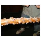 unusual cane