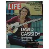 vintage Life magazines