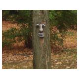 tree face