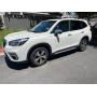 Huntington Beach Treasures + Subaru Auction 