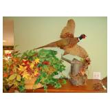 Pheasant mount